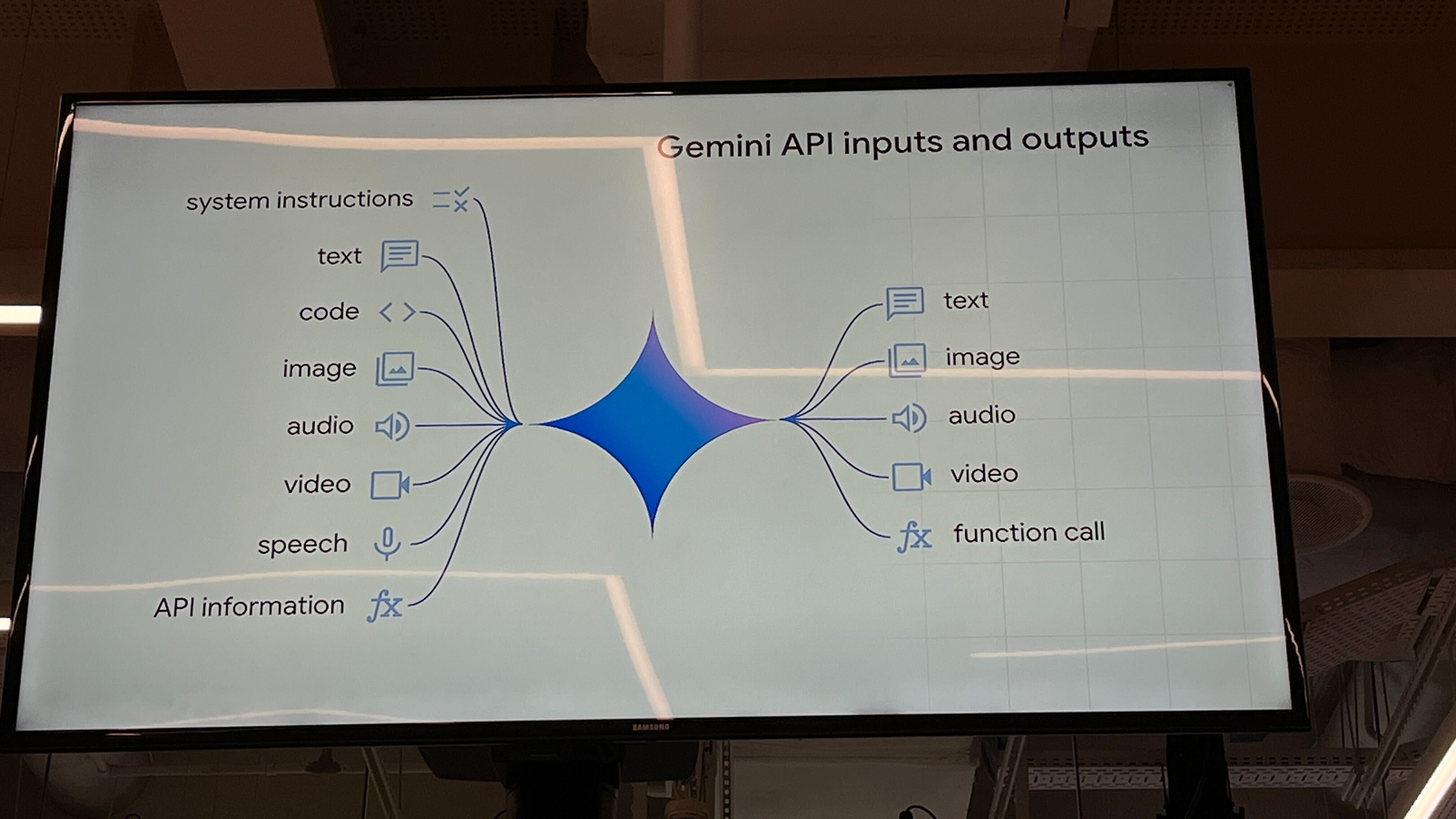 Gemini inputs and outputs